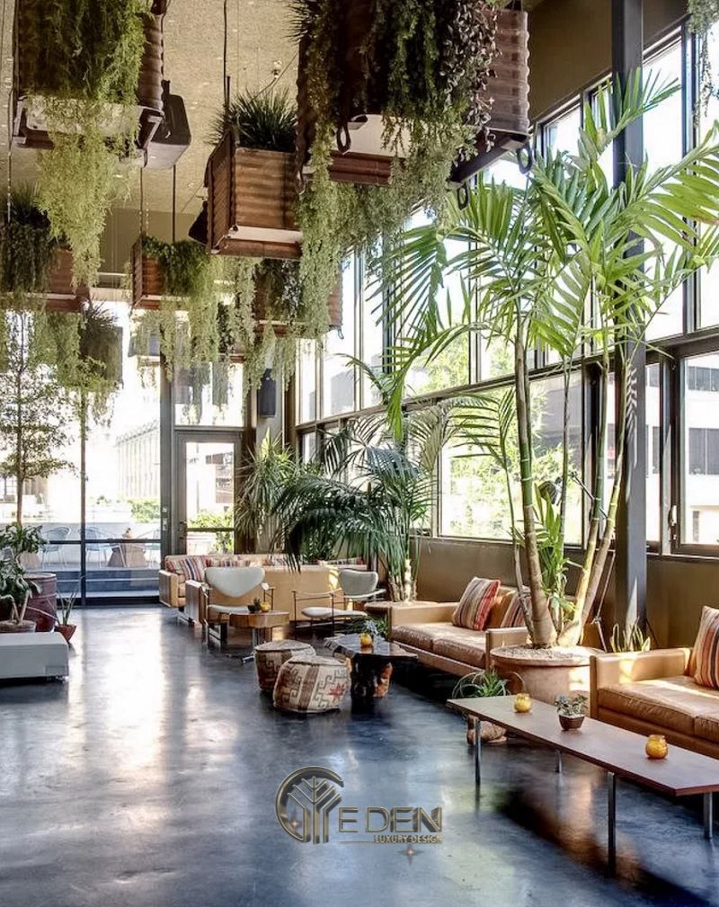 Thiết kế quán cafe cây xanh - Yên tĩnh và thời thượng