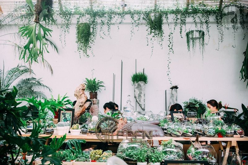 Thiết kế quán cafe cây xanh phong cách tropical