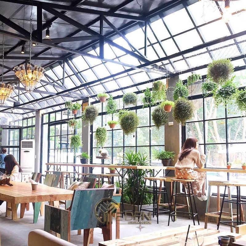 Thiết kế quán cafe cây xanh nổi bật với các khung cửa kính