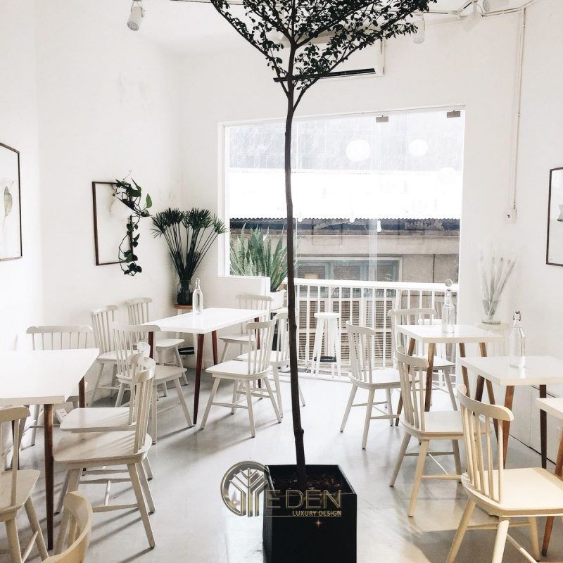 Thiết kế quán cafe đẹp ngang 4m với phong cách Tối giản sử dụng chậu cây xanh làm điểm nhấn
