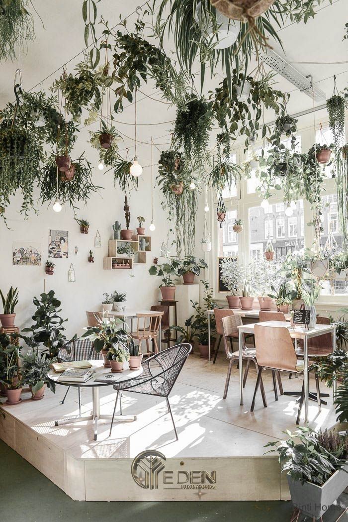 Thiết kế quán cafe đẹp ngang 4m với phong cách “Xanh” - Tropical lấy gam màu trắng làm chủ đạo tạo sự trang nhã cho người ngồi