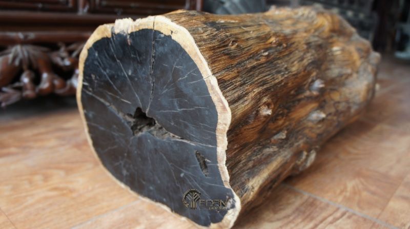 Gỗ mun thuộc nhóm I theo bảng phân loại. Đây là dòng gỗ quý hiếm cần được bảo tồn