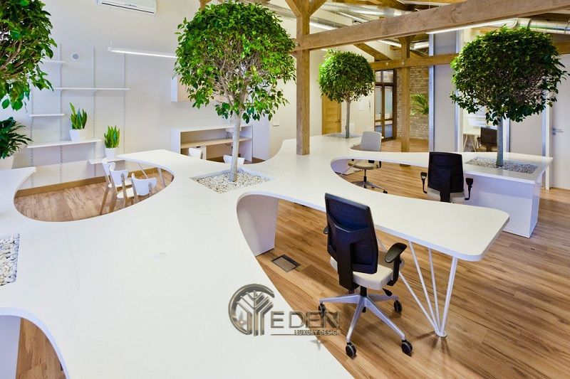 Những lưu ý khi chọn hướng ngồi phong thủy phòng làm việc