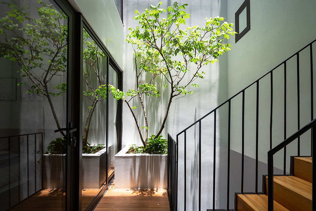 Đôi khi thiết kế giếng trời chỉ cần trồng 1 cây xanh cũng đủ tô xanh cho không gian nhà bạn.
