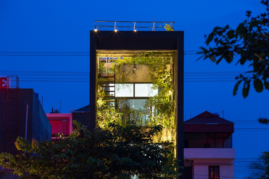 Ngôi nhà phố thu hút bởi thiết kế cây xanh phủ kín